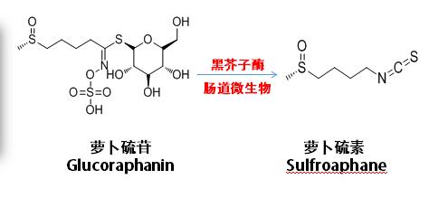 抗性管理的重要性
