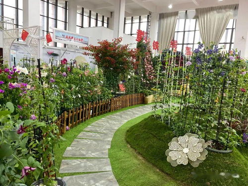 网红直播，背后见功夫