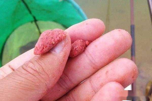 搓饵调漂需掌握技巧，确保鱼饵入水后自然下沉