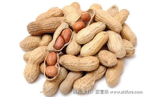 花生米现在多少钱一斤，有没有便宜的花生米推荐？