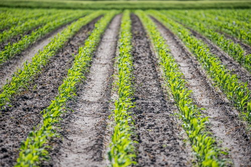 使用方法，要讲究