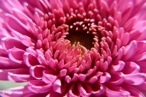 菊花撕裂出血了怎么办？紧急处理方法有哪些