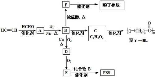 相遇：草酰乙丙胺的诞生