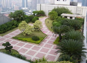 土壤类型：严格的搭配