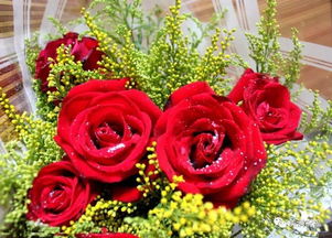 第五步：完美收尾