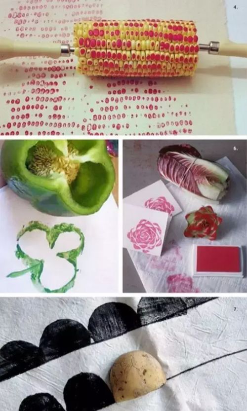 蟹爪莲花骨朵掉落？试试这些小技巧
