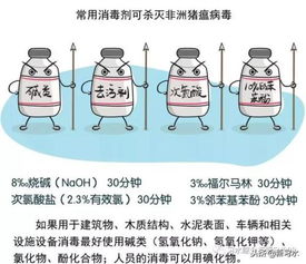 如何使用高效消毒剂对非洲猪瘟疫区猪饲料进行全面彻底消毒？