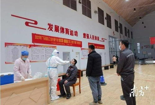 油茶基地重燃生机：大庆坪复工热潮引领茶叶市场新风尚