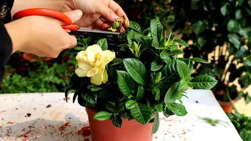 浇水：外卖灵感，奶茶吸管变湿度计