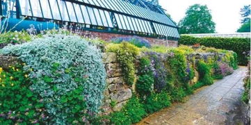 花镜种植，选址是关键