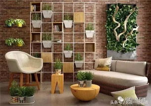 植物的选择与摆放