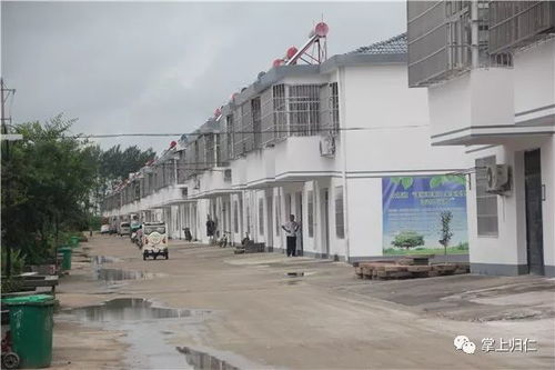 寻找临邛镇农药市场：一个乡村小贩的记叙