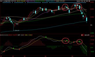 蓖麻收割黄金期如何确定？