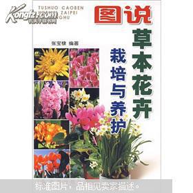 花卉分类的大杂烩说