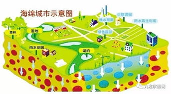 海绵城市：城市景观规划的新趋势