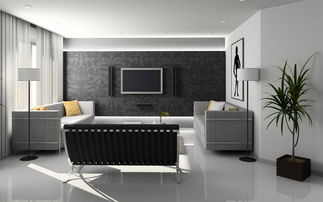 适合放置在客厅的绿植推荐