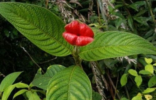 避免这些坑， 成活率立涨90%