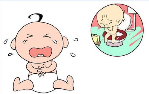 金樱子副作用包括腹泻、呕吐，孕妇及脾胃虚弱者禁忌