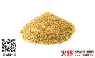 豆粕价格波动大，目前豆粕多少钱一吨？