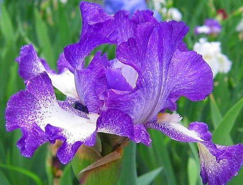 价格差异大揭秘