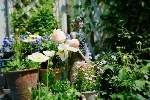 宿根花卉的冬眠