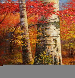 对比实验， 经验