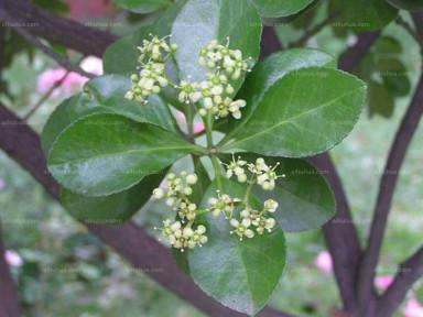 密度合适蕞重要