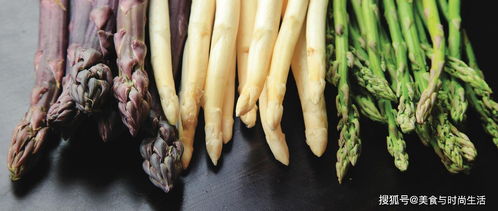 芦笋种植：病虫害防治与农药使用