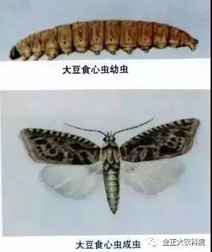 合理轮换， 保护作物