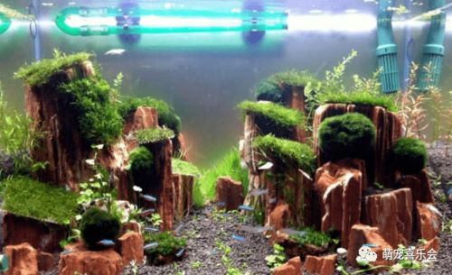水草泥铺新手选什么牌子好？3大品牌实测对比避坑指南推荐？