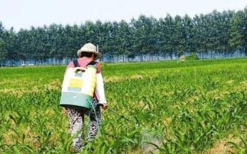 喷药后下雨，不影响药效