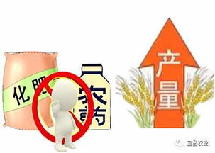 农药化肥，功过是非谈