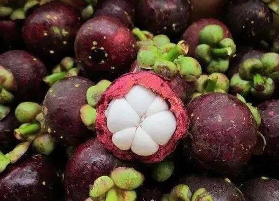 山竹为何底部藏花？