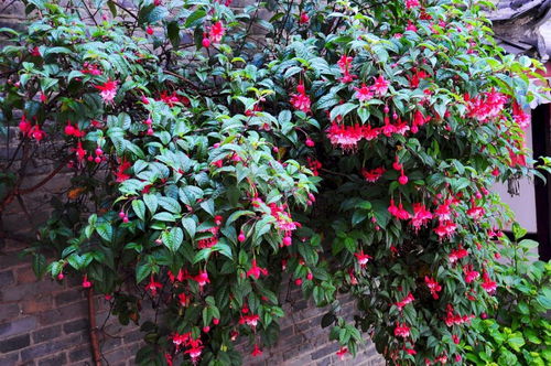 土壤和水，不嫩马虎