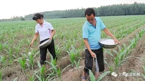 傍晚时分，那是黄金时刻