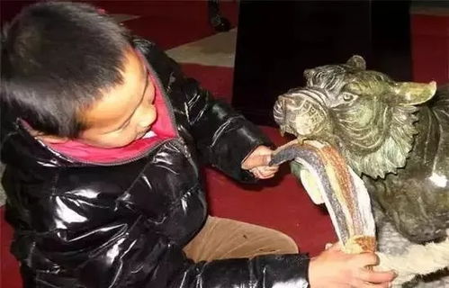 徐长卿，长于何方