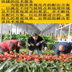 血泪教训啊朋友们！去年我表弟就踩了第二个坑：