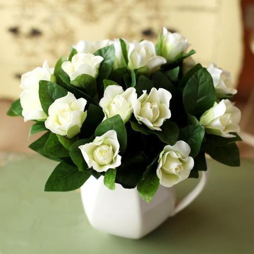 白色花朵的美丽传说