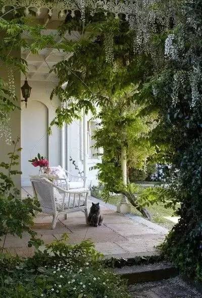 庭院里的绿色小天地