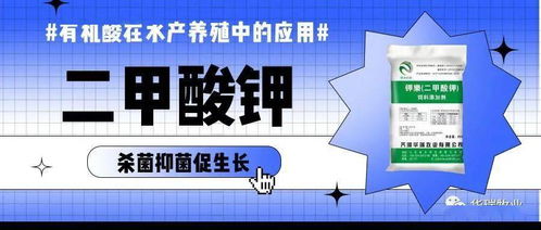 甘氨酸助低蛋白鸡日粮优化，提升养殖效益