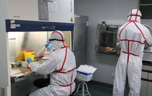 快速隔离、严格消毒，科学防控养殖疫情