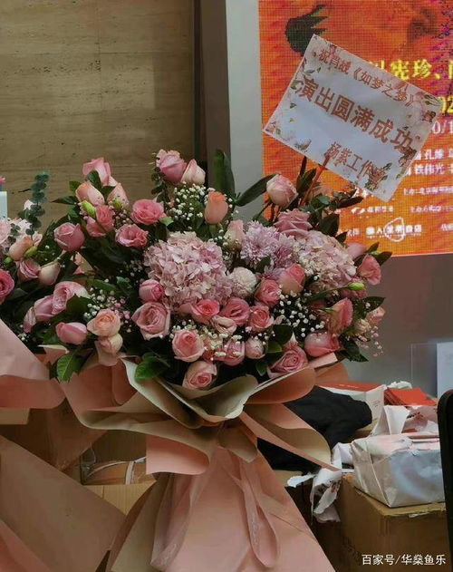 友谊之花，送哪款最贴心