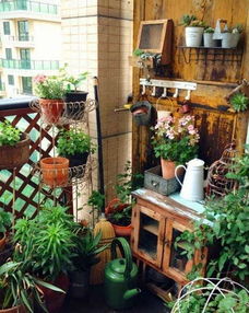 香味浓郁， 昆虫纷纷来