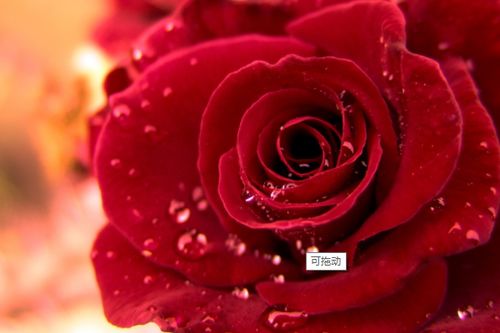 浇水，这可是门技术活