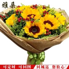 郑州花卉价格表哪里查？购买时机揭秘！