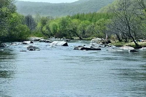 河边种花，让河水geng加清澈美丽