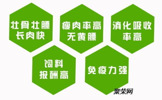 新一年，饲料企业赢在创新