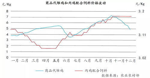 “农业养殖成本核算：饲料、人工、设备、防疫、运输等全面分析