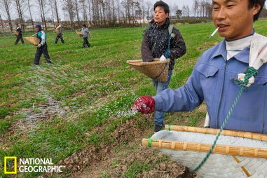 环境条件，别让肥料跑了