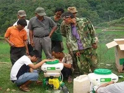 农药化肥市场概览